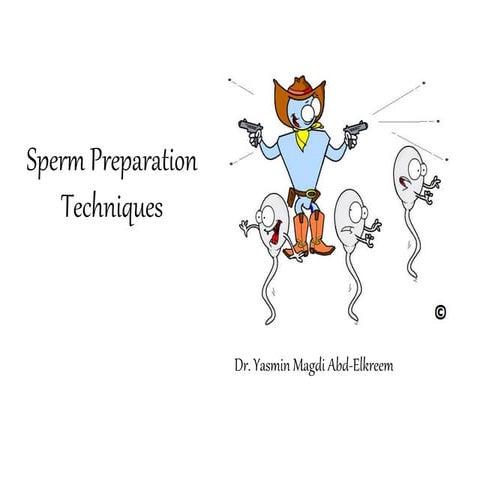 Sperm preparation techniques