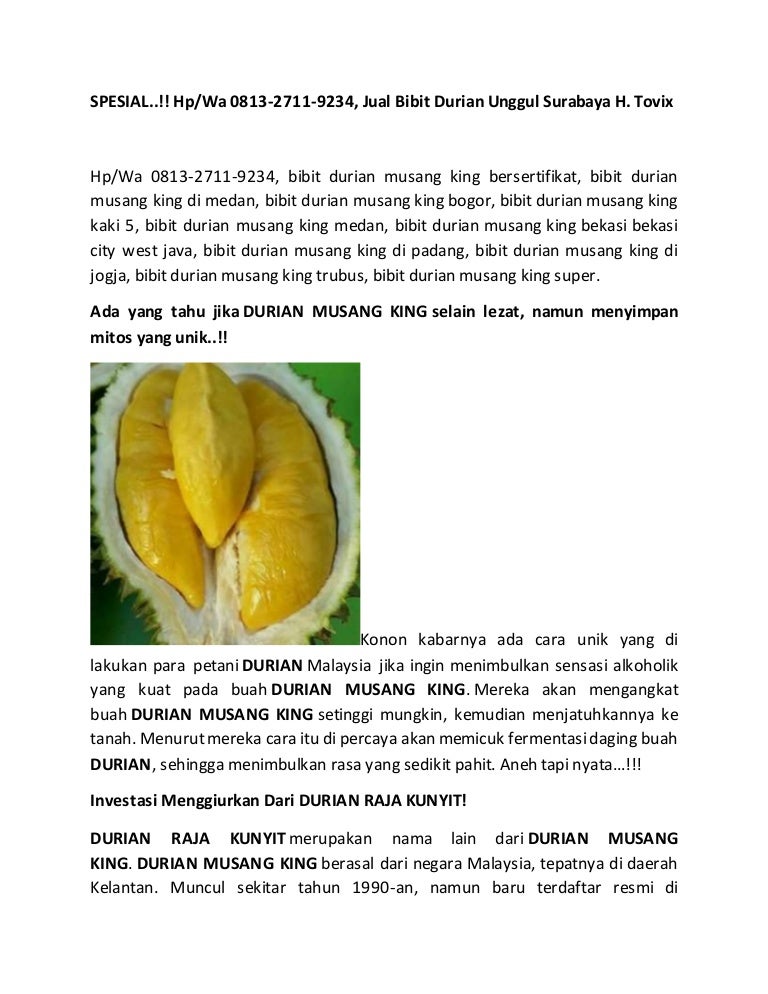 Spesial Hp Wa 0813 2711 9234 Jual Bibit Durian Unggul Surabaya H