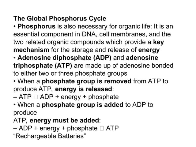 S, P, Fe, Mn TRANSFORMATIONsdfdfdfddf.ppt