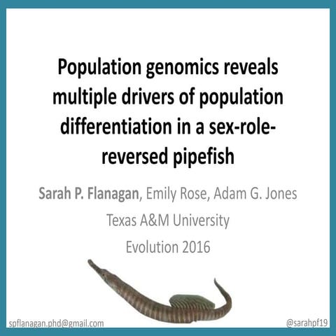 Population genomics reveals multiple drivers of population differentiation