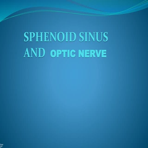 Sphenoid sinus and optic nerve