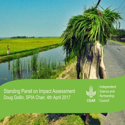 Standing Panel on Impact Assessment Doug Gollin