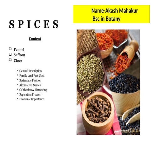 SPICES.pptx                                             Botany carrier