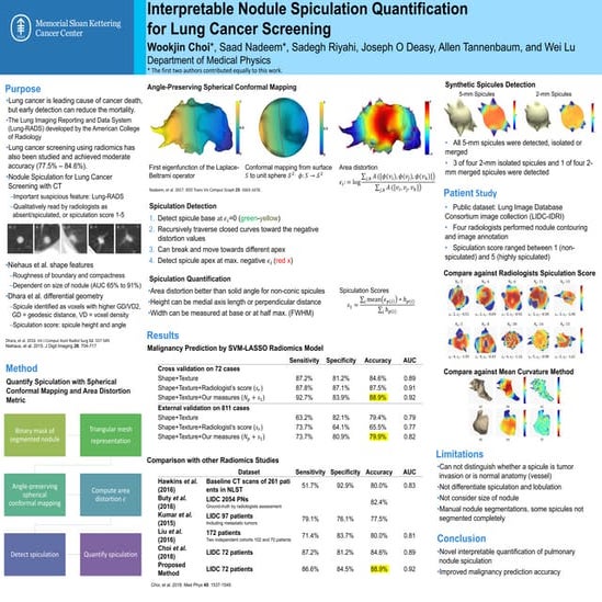 Interpretable Spiculation Quantification for Lung Cancer Screening