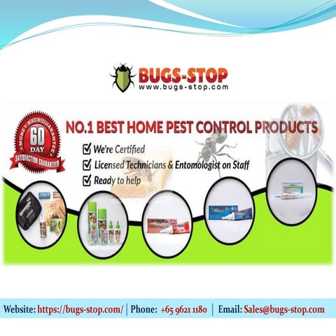 Pigeon Pest Control 101 | PDF