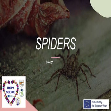 SPIDERS -DIDACTIC MATERIALS  ON BIOLOGY LESSONS