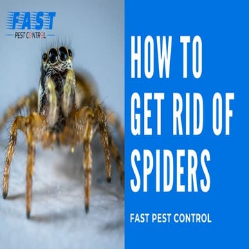 7 Signs You May Have a Pest Infestation | PDF