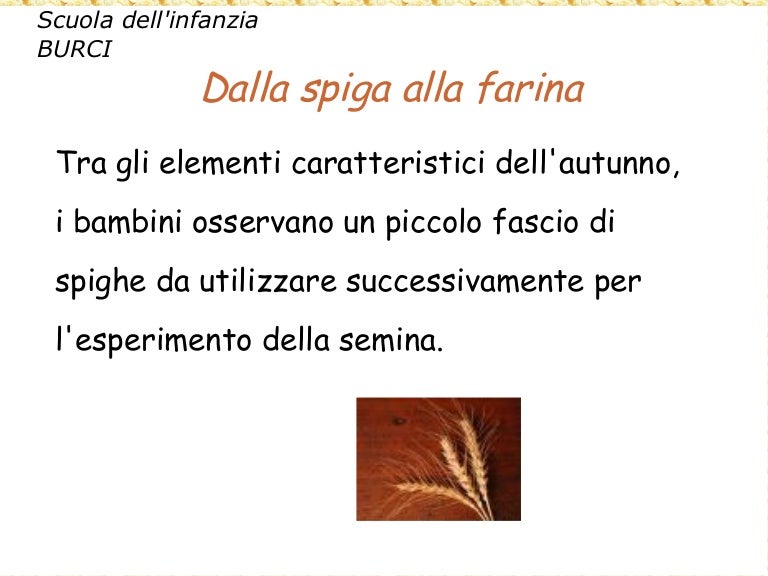 "Dalla spiga alla farina"Scuola dell'infanzia "Burci".Vicenza