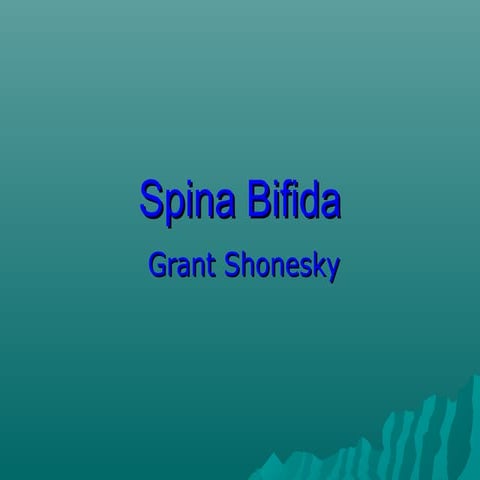 Spina Bifida presentation | PPT