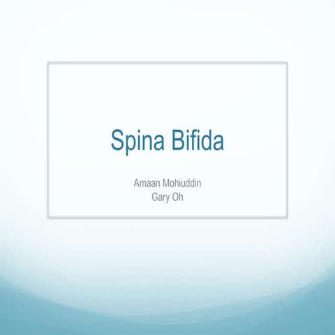Spina Bifida