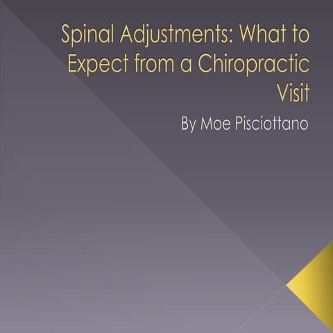 Spinal Adjustments: What to Expect from a Chiropractic Visit