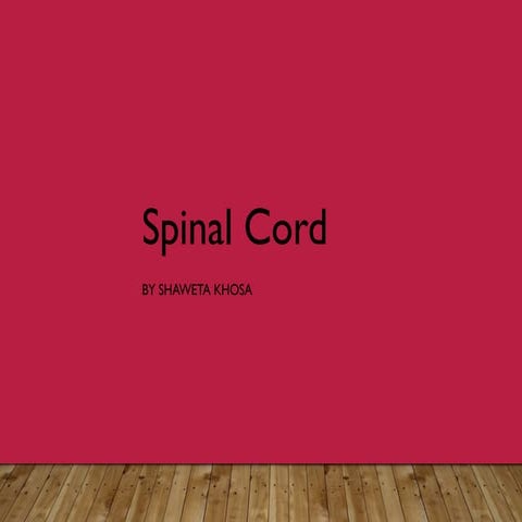Spinal cord by Shaweta khosa