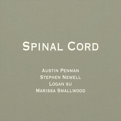 Spinal Cord