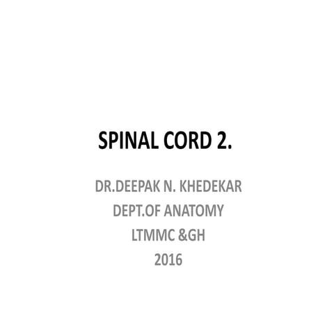 SPINAL CORD.2.pptx