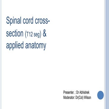 Spinalcorddisorders 170123051811 (1)