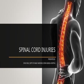 spinal cord injury ppt | PPTX