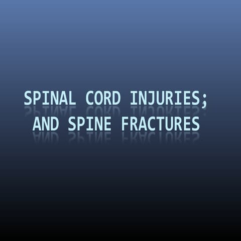 Spinal cord injuries spinalfractures thoracolumbar fracture