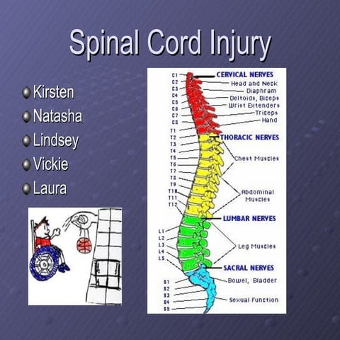 Spinal cord injury