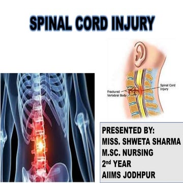 Spinal cord injury