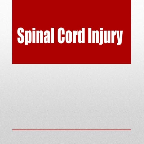 Spinal cord anatomy and injury in human beings