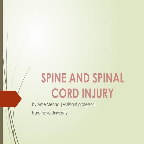 Management of a patient with spine and spinal cord injury