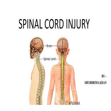 Spinal cord injury_040036.pptx