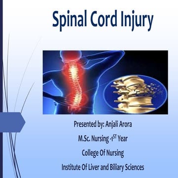 Spinal cord injury (SCI) | PPTX