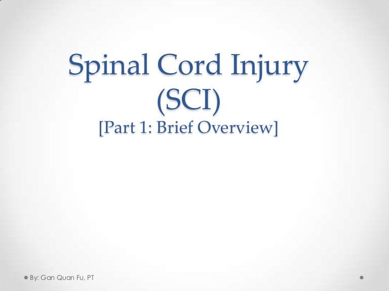 Spinal cord injury (sci) Rehab