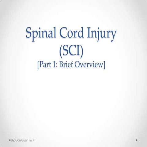 Spinal cord injury (sci) Rehab
