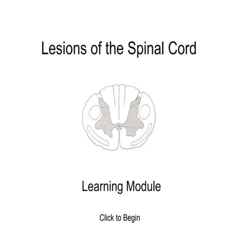 Spinal cord lesions module