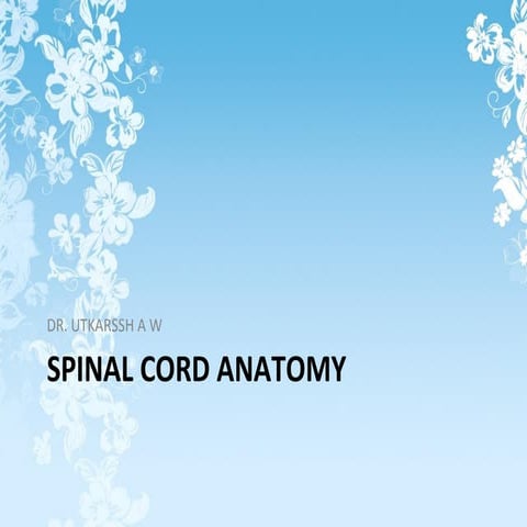 Spinal cord anatomy and injuries.