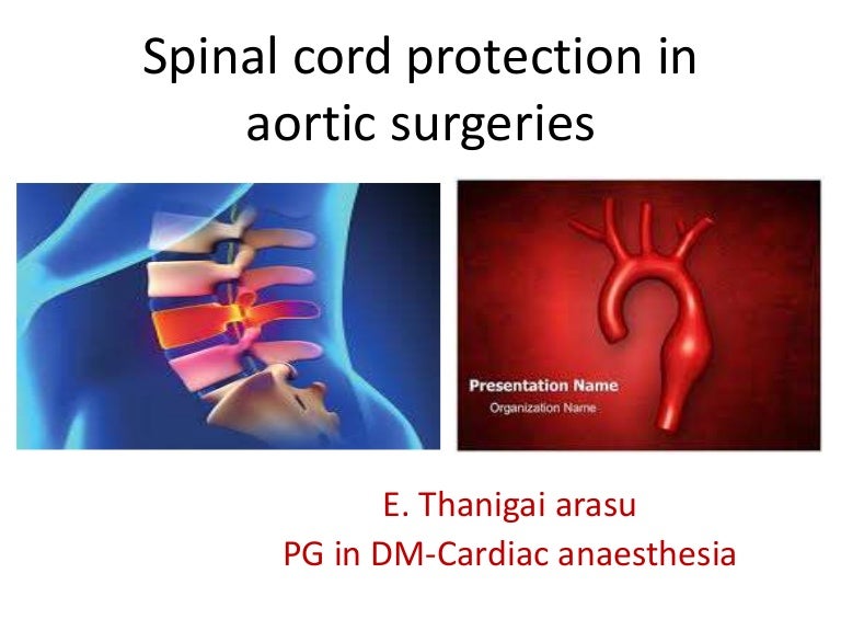 Spinal cord protection in aortic surgeries