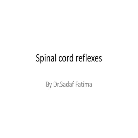 Spinal cord reflexes