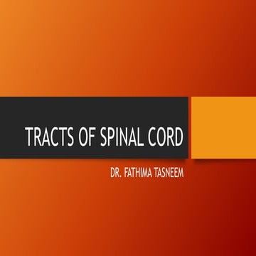 Spinal cord tracts