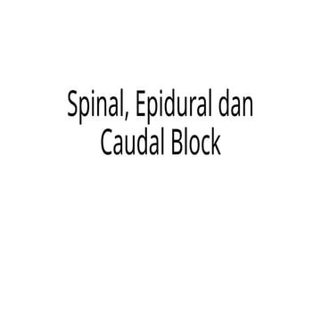 Spinal, Epidural dan Caudal Block.pptx d | PPTX