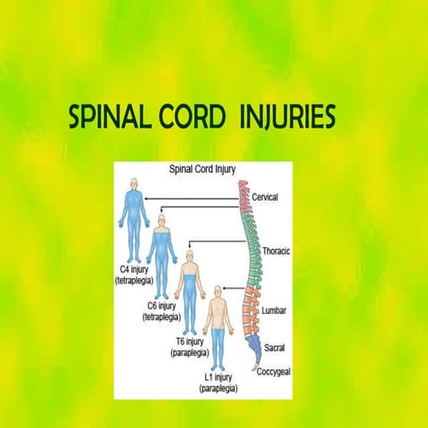 SPINAL INJURIES.pptx yxitsizz8tzzsyxxoxt