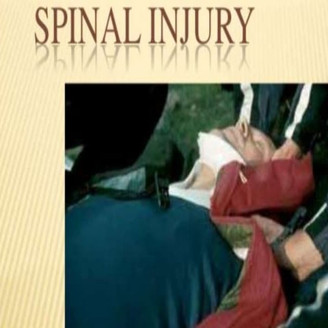 Spinal fractures (injury)