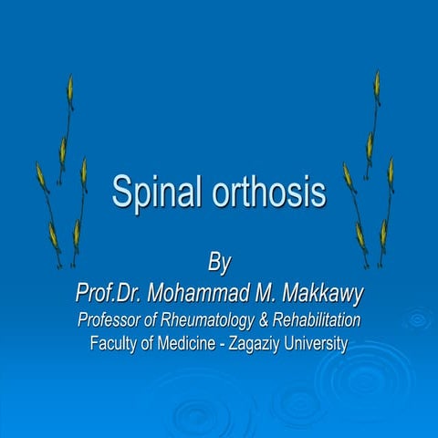 Spinal orthosis