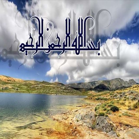 Spinal orthosis  dr.aliaa