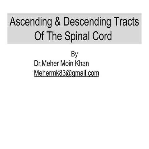 Spinal tracts anatomy dr.meher