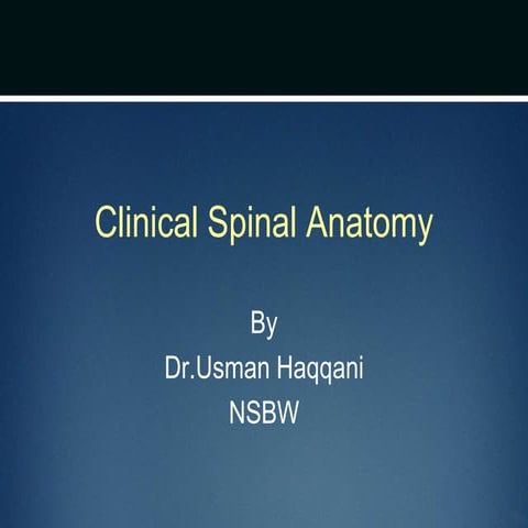 clinical Spine anatomy