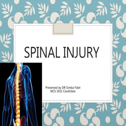 Spine injury