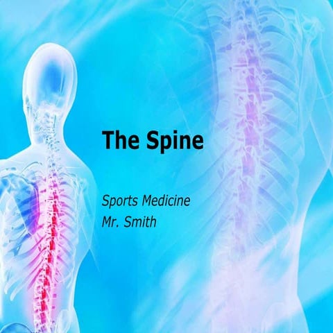 Spine Powerpoint.ppt
