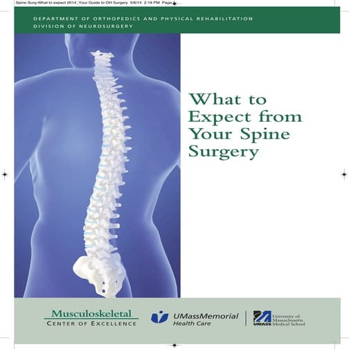 What to Expect from Spine Surgery | PDF