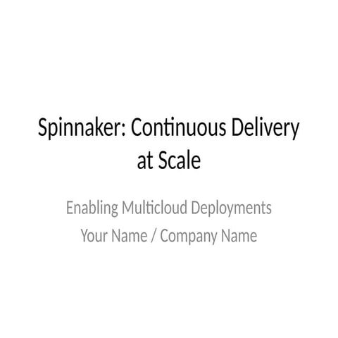 Spinnaker_Presentation overview and best practicies