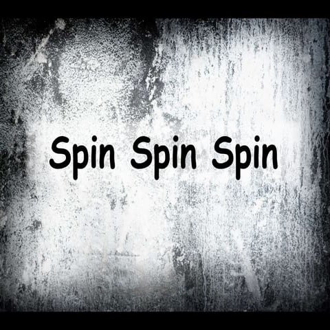 Spin Spin Spin