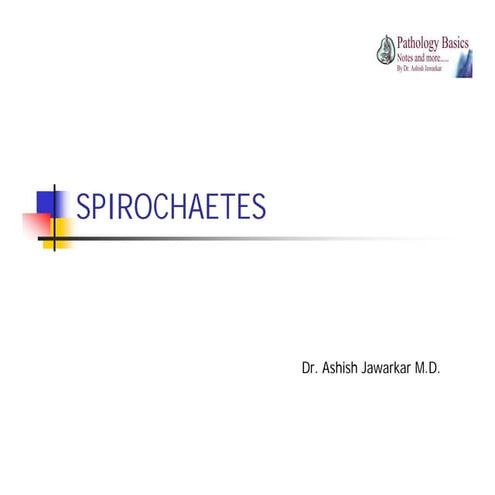 Spirochaetes