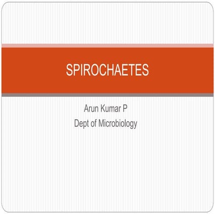 Spirochaetes