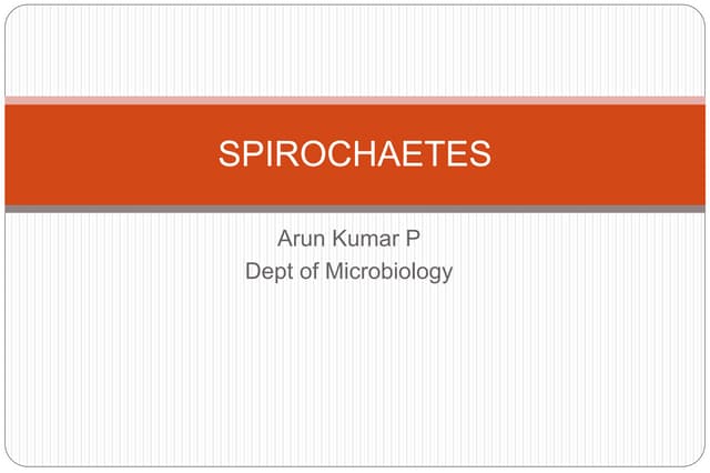 Spirochaetes