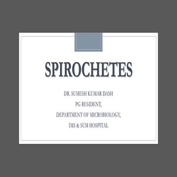 Spirochetes